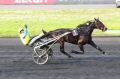 vivid-wise-as-le-plus-fort-dans-le-prix-de-france-speed-race-ce-dimanche-13-fevrier-png.jpg